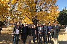 [ Full Day ] Nami Island & Petit France From Seoul