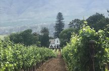 Private Constantia Wine Tour