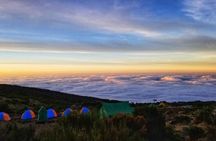 Day Tour To Mt. Kenya 