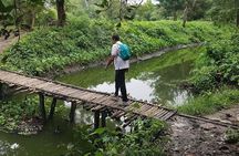 Walk the Kolkata Wetlands: Green Eye Candy