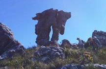 Skeleton Gorge to Maclears Beacon. Table Mountain hike
