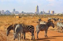 Early Morning Game Drive In Nairobi National Park