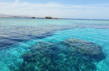 Full Relaxing Day To The Red Sea From Cairo Or Giza Hotel 