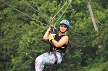 Zipline Adventure In The Rainforest