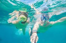 Snorkeling in Cabo San Lucas on 35' Sea Amore Trimaran