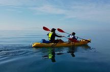 Paddle with the Penguins