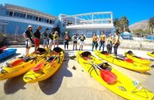 Paddle with the Penguins