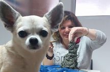 Sculpt to Florentine Pet