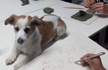 Sculpt to Florentine Pet