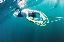 A BOAT TOUR to the TIJUCAS ISLANDS with an AMAZING UNDERWATER FLIGHT! FRESH AIR AND FREEDOM!