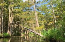 Honey Island Swamp Boat Tour