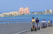 2 Hour Guided Segway Tour around Clearwater Beach