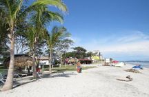 Surf lesson & Beach day in Playa Caracol