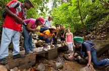 St Lucia Rainforest Walk