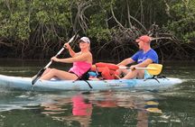 Kayak to the Heart of the National Park