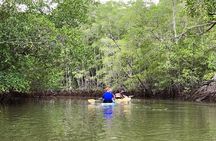 Kayak to the Heart of the National Park