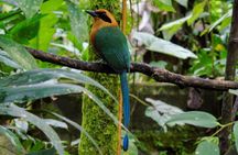 Mindo Cloud Forest & Middle of the World Tour from Quito