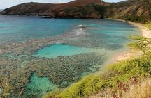 Hanauma Bay Snorkeling 
