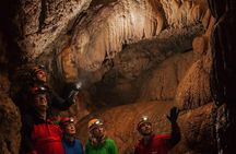 Multi-Cave Experience
