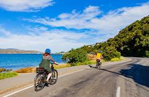 Wellington Self-Guided Electric Bike Tour