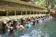 Bali Spotlight Tour