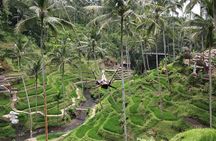 Bali Spotlight Tour