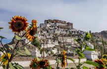 Laddakh Valley Tour (Leh, Nubra & Pangong Lake)