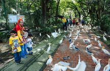 Kuala Lumpur Bird Park & Butterfly Farm Tour