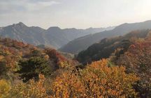 Beijing Mutianyu Great Wall and Tea House with English Driver