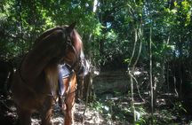 Award-winning Classic Horseback Ride (max. 6 riders)