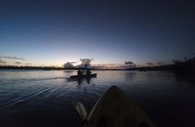 Night Kayaking Experience on Bioluminescent Lagoon in Fajardo