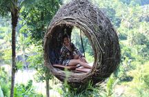 Private Bali Car Charter with Driver up to 6 People 