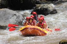 Half Day White Water Rafting Adventure from Bali 