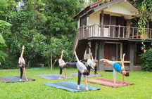 Full Day Yoga, Meditation, and Thai Cultural Immersion in Chiang Mai 