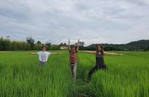 Full Day Yoga, Meditation, and Thai Cultural Immersion in Chiang Mai 