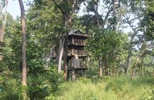 Jungle Towernight Stay In Chitwan National Park ,nepal-2 Nights 3 Days Package