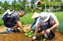 Discover the rural life and cooking class