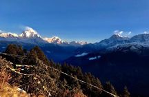 Nepal Round Tour with Annapurna Trek 14 Days