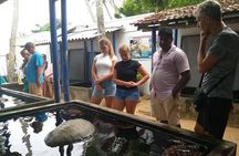 Galle sightseeing tour 