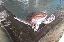 Galle sightseeing tour 