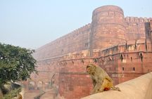 Private Exclusive Taj Mahal & Agra Fort City Tour