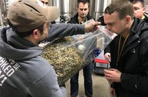 Underground Brooklyn Walking Brewery Tour