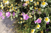 Karpathos Pini to Stes Mountain Village Guided Hike