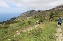 Karpathos Pini to Stes Mountain Village Guided Hike