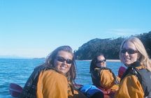 Kayak & Pitt Head Nature Loop - Guided Kayak & Unguided Walk - New Zealand