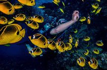Lanai Cathedral Dive