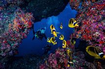 Lanai Cathedral Dive