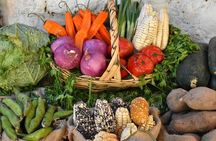 Private Arequipa Countryside Tour,