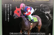 A tour to enjoy Japanese official gambling (horse racing, bicycle racing, pachinko)