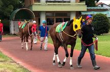 A tour to enjoy Japanese official gambling (horse racing, bicycle racing, pachinko)